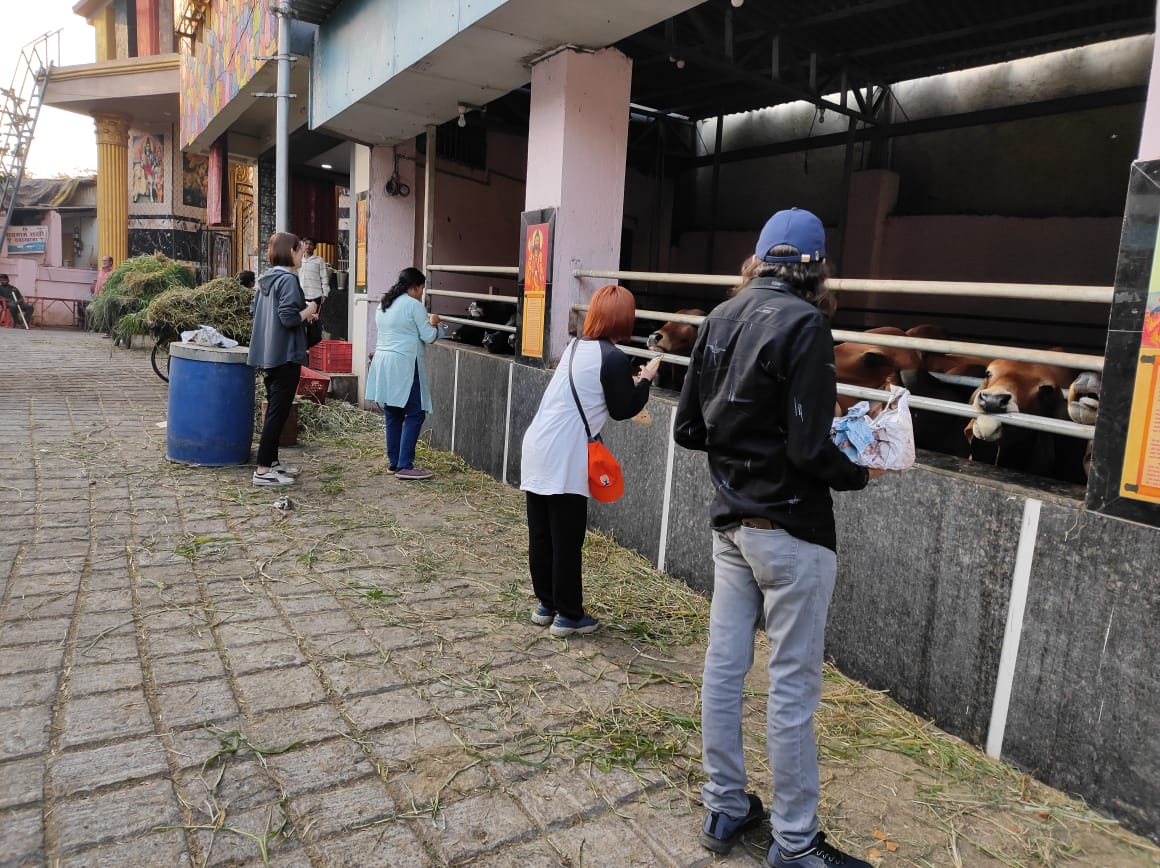 Japanese Social Workers Visited at Swami Shanti Prakash Gaushala