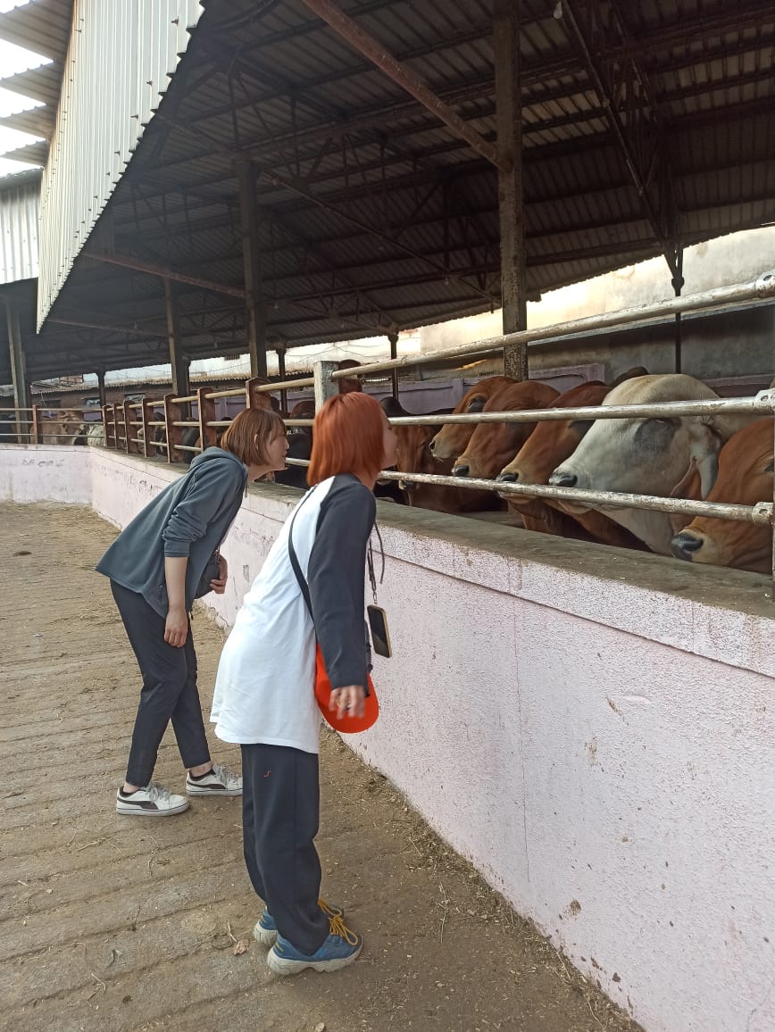Japanese Social Workers Visited at Swami Shanti Prakash Gaushala