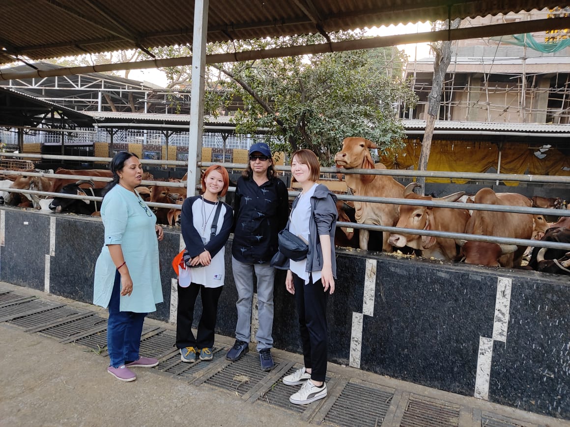 Japanese Social Workers Visited at Swami Shanti Prakash Gaushala