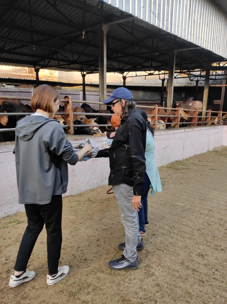 Japanese Social Workers Visited at Swami Shanti Prakash Gaushala