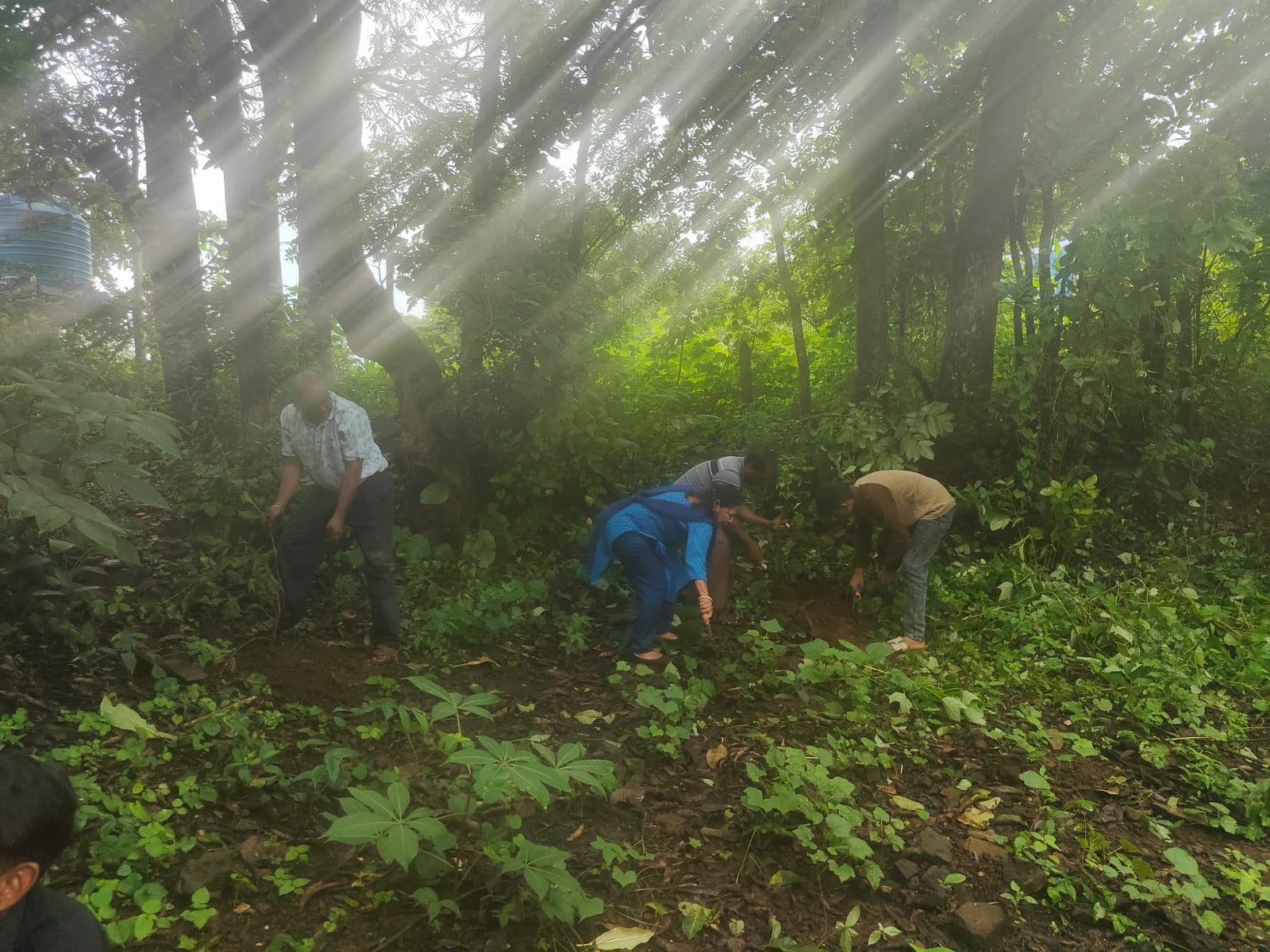 Part-16 Tree Plantation Drive | SUADHA NGO
