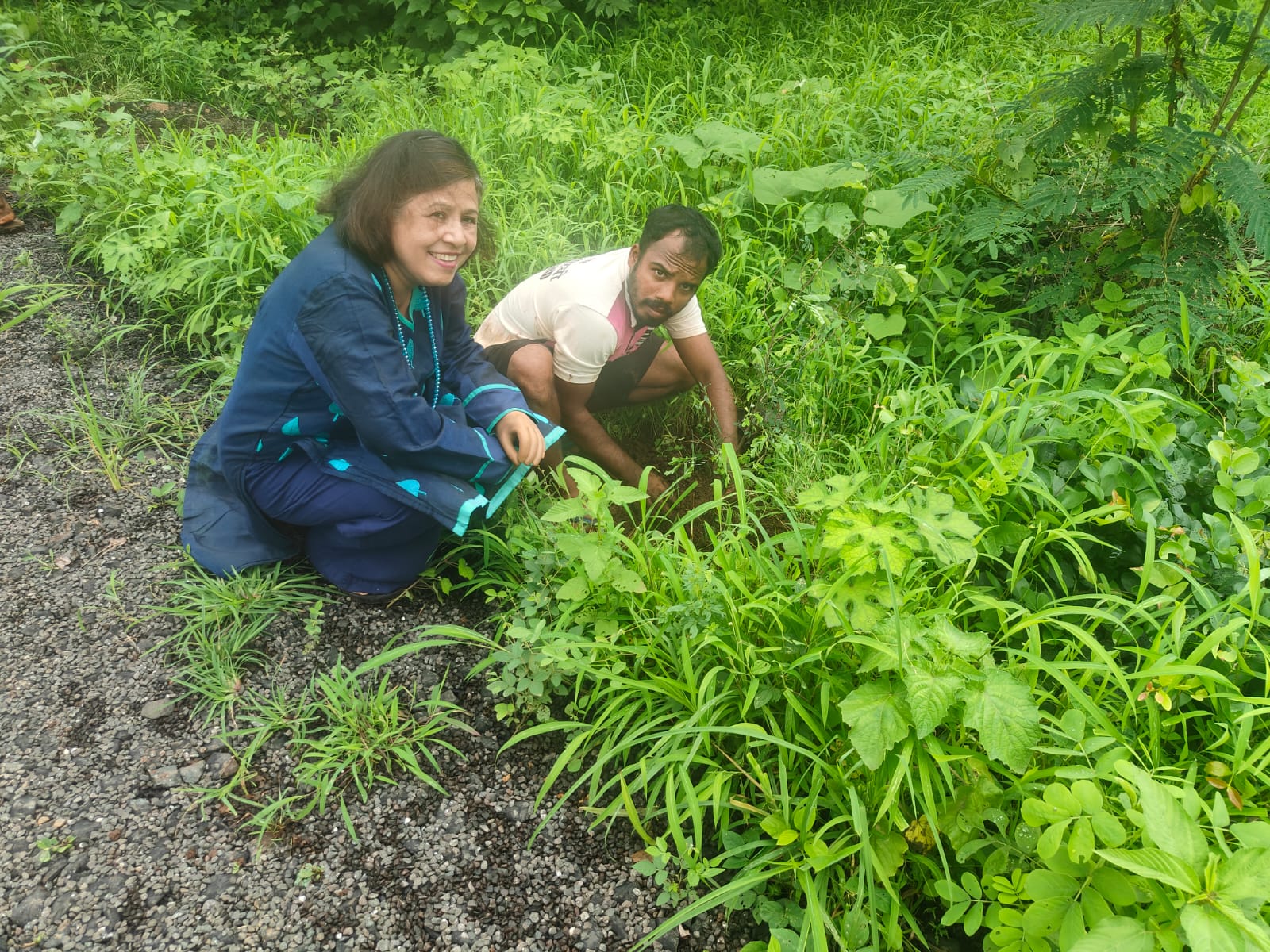 Part-16 Tree Plantation Drive | SUADHA NGO