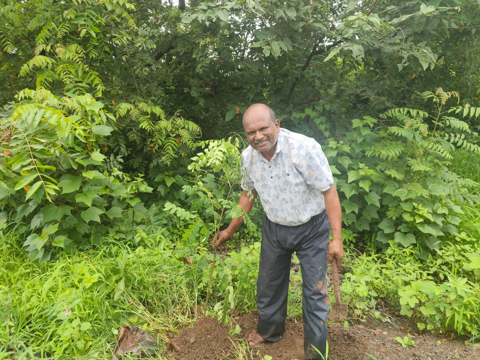 Part-16 Tree Plantation Drive | SUADHA NGO