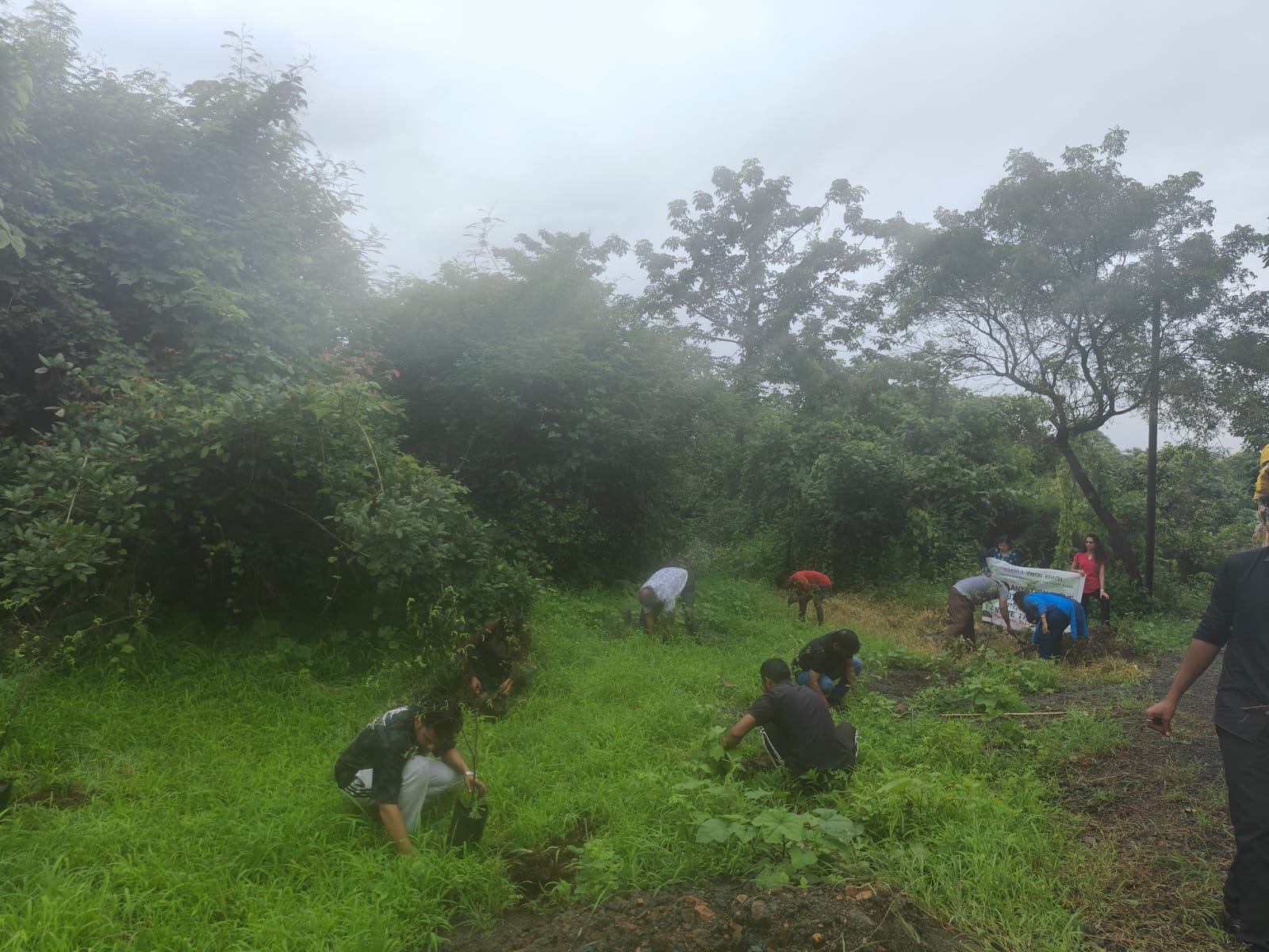 Part-16 Tree Plantation Drive | SUADHA NGO