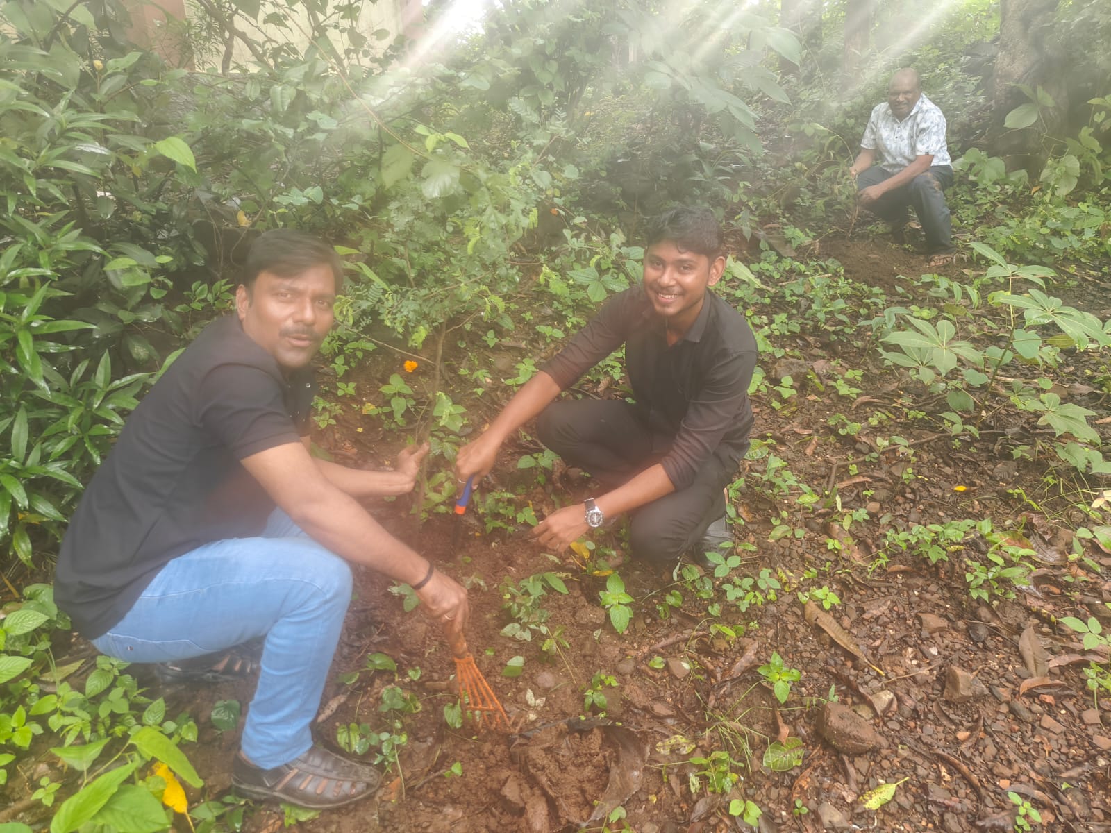 Part-16 Tree Plantation Drive | SUADHA NGO
