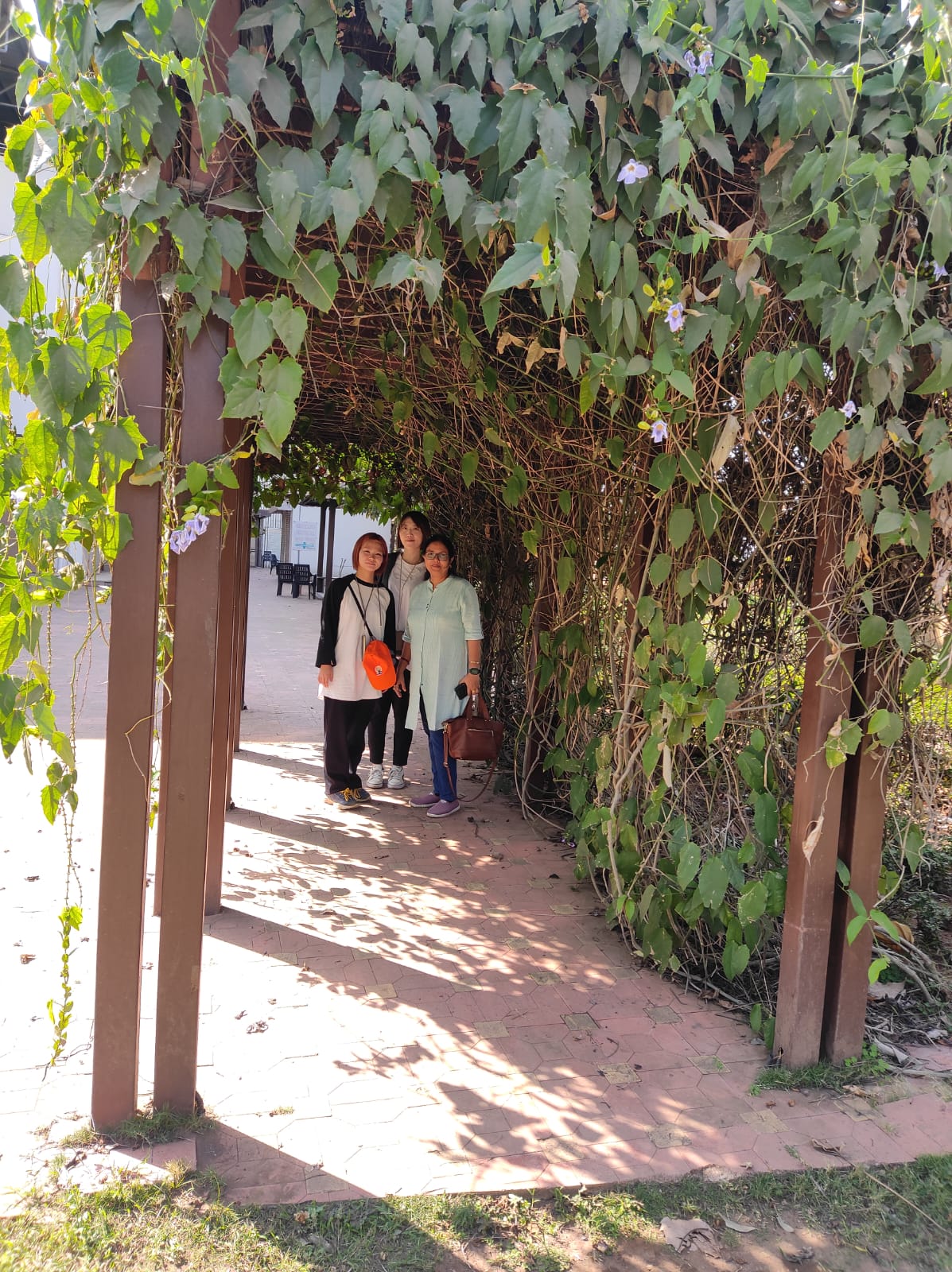 Japanese Social Workers Visited at Ashtang Yog & Naturothy Research Foundation