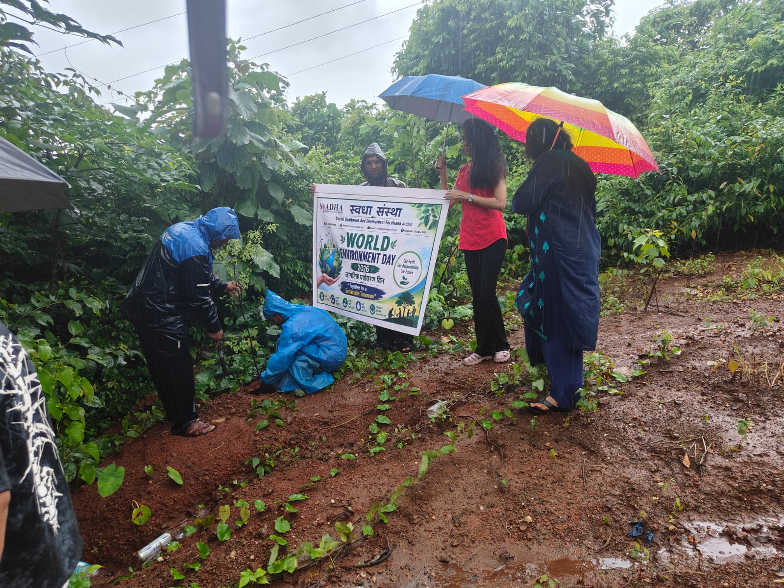 Part-16 Tree Plantation Drive | SUADHA NGO