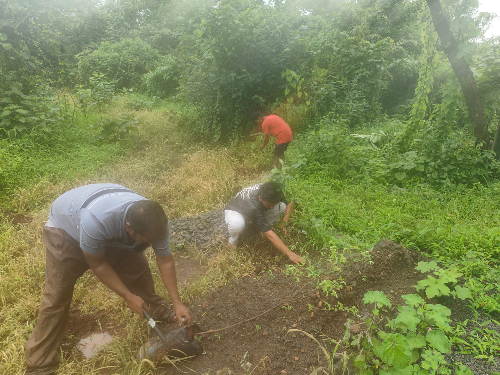 Part-16 Tree Plantation Drive | SUADHA NGO