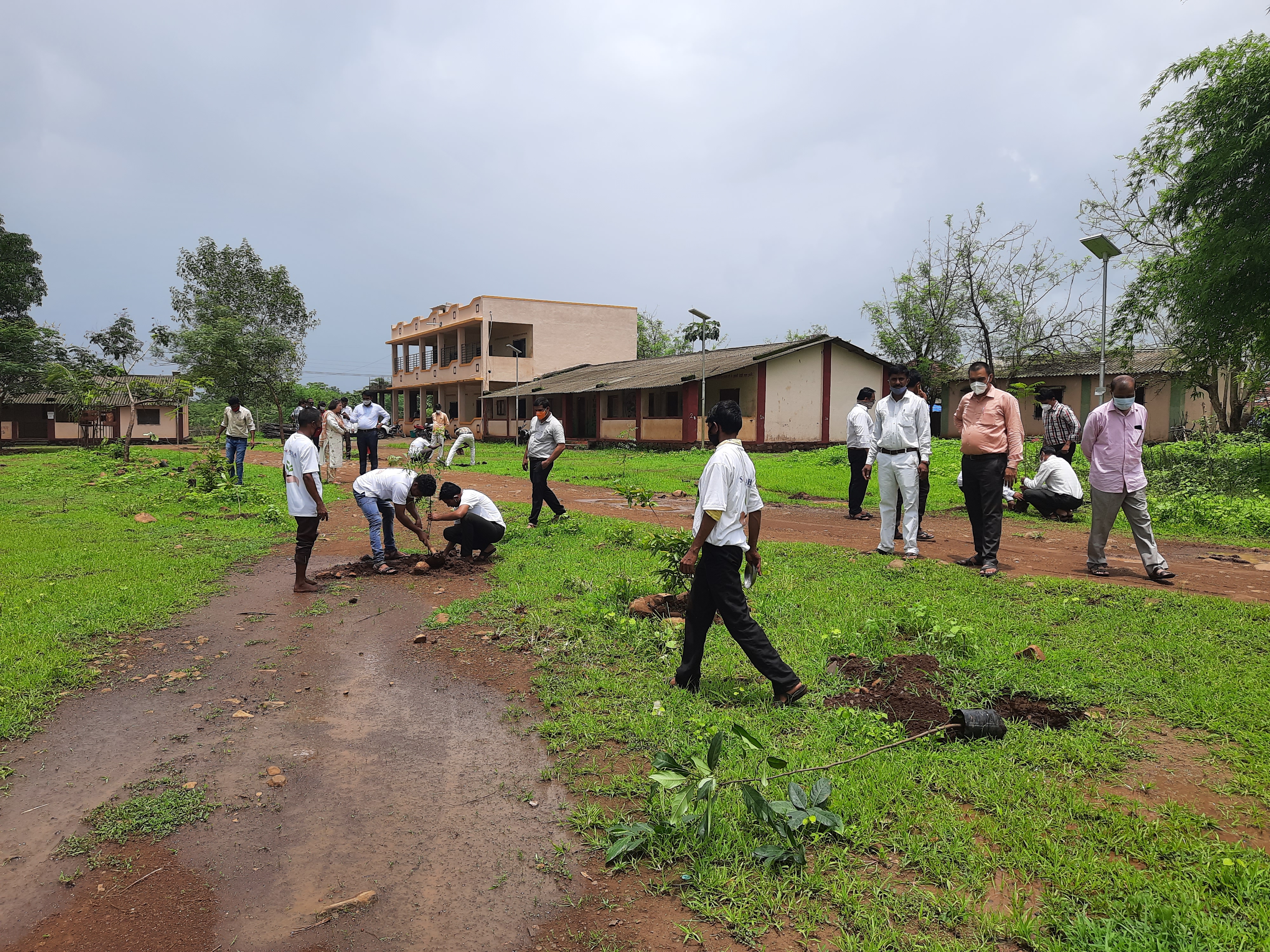 Part -2 , Plantation Drive on  23rd June 2021 at Zapwadi Village, Murbad