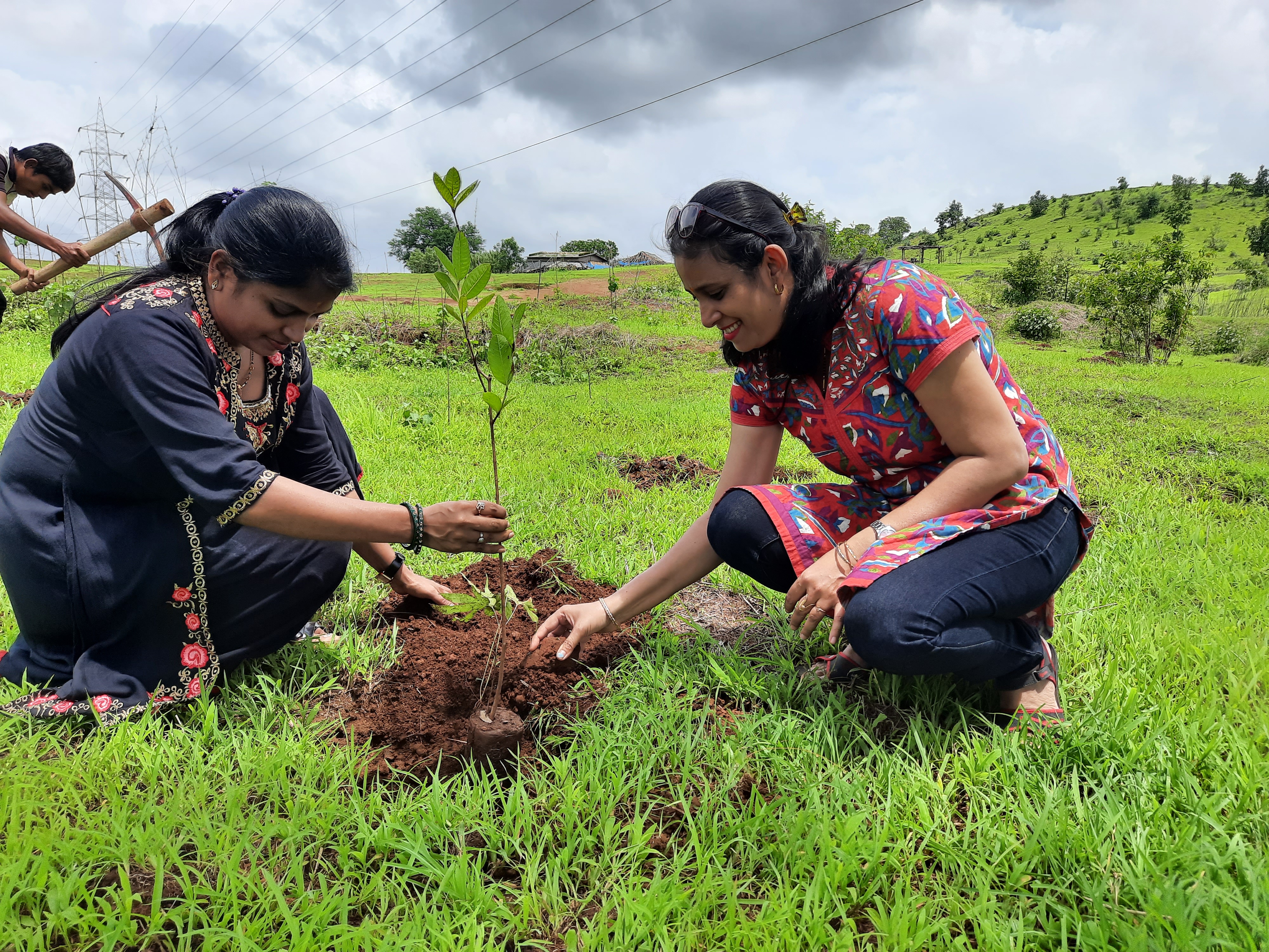 Part - 3, Plantation Drive on  26th June 2021 at Gandulwad Village, Murbad