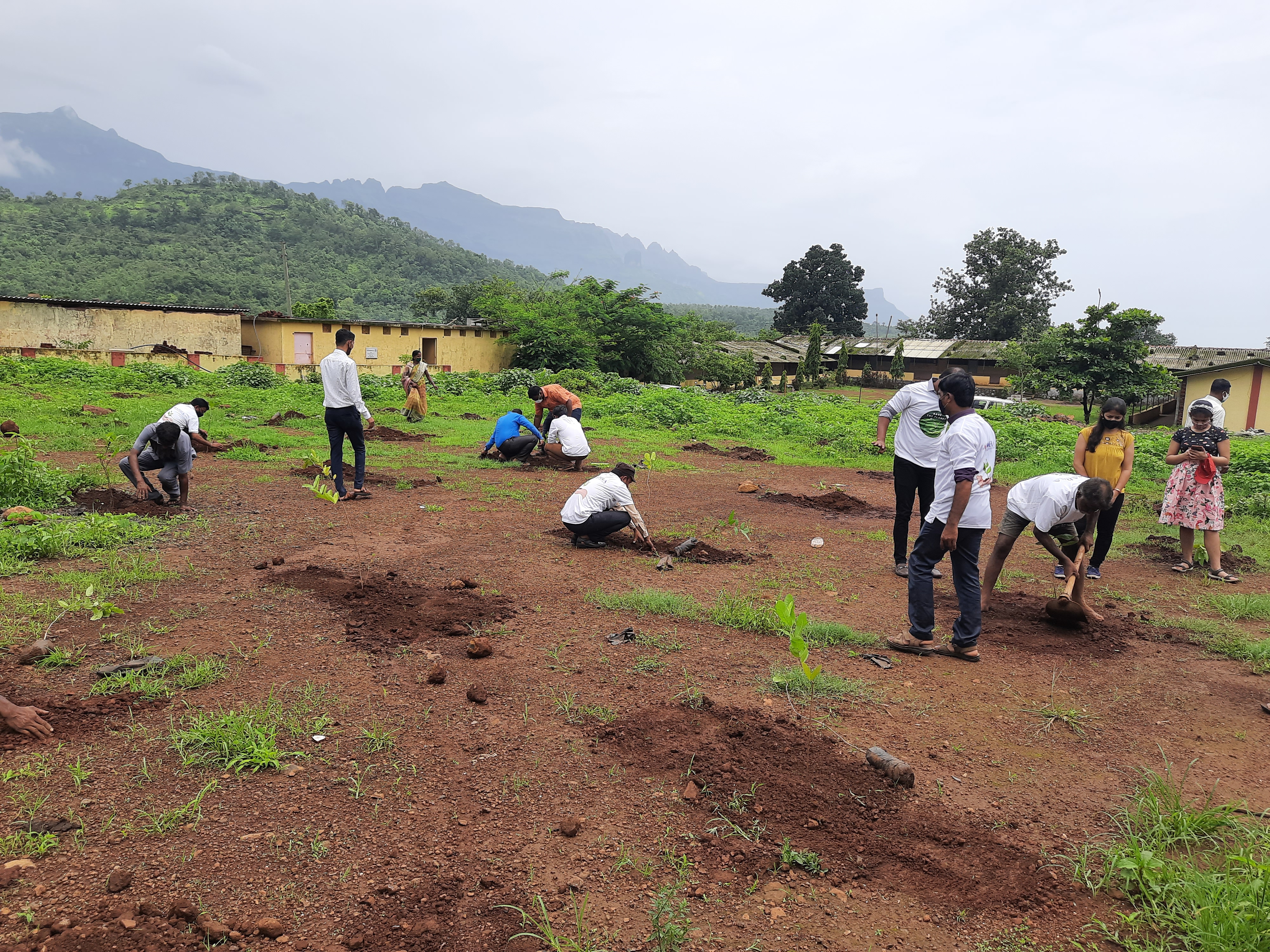 Part -1, Plantation Drive on 19th June 2021 at Valivare Village, Murbad