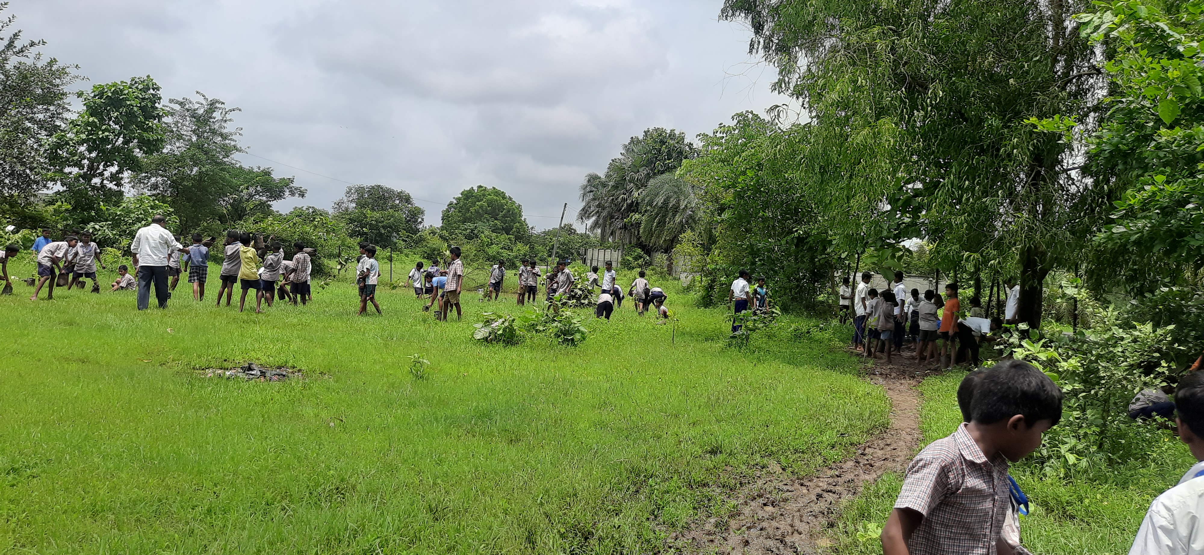 Plantation Drive, Part – 11