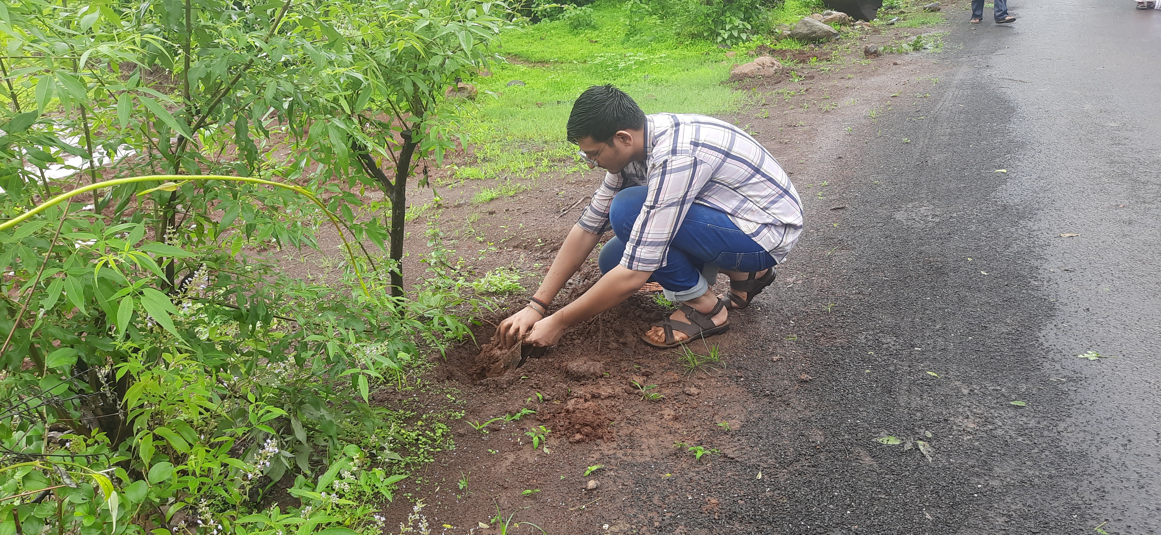 Plantation Drive, Part – 9