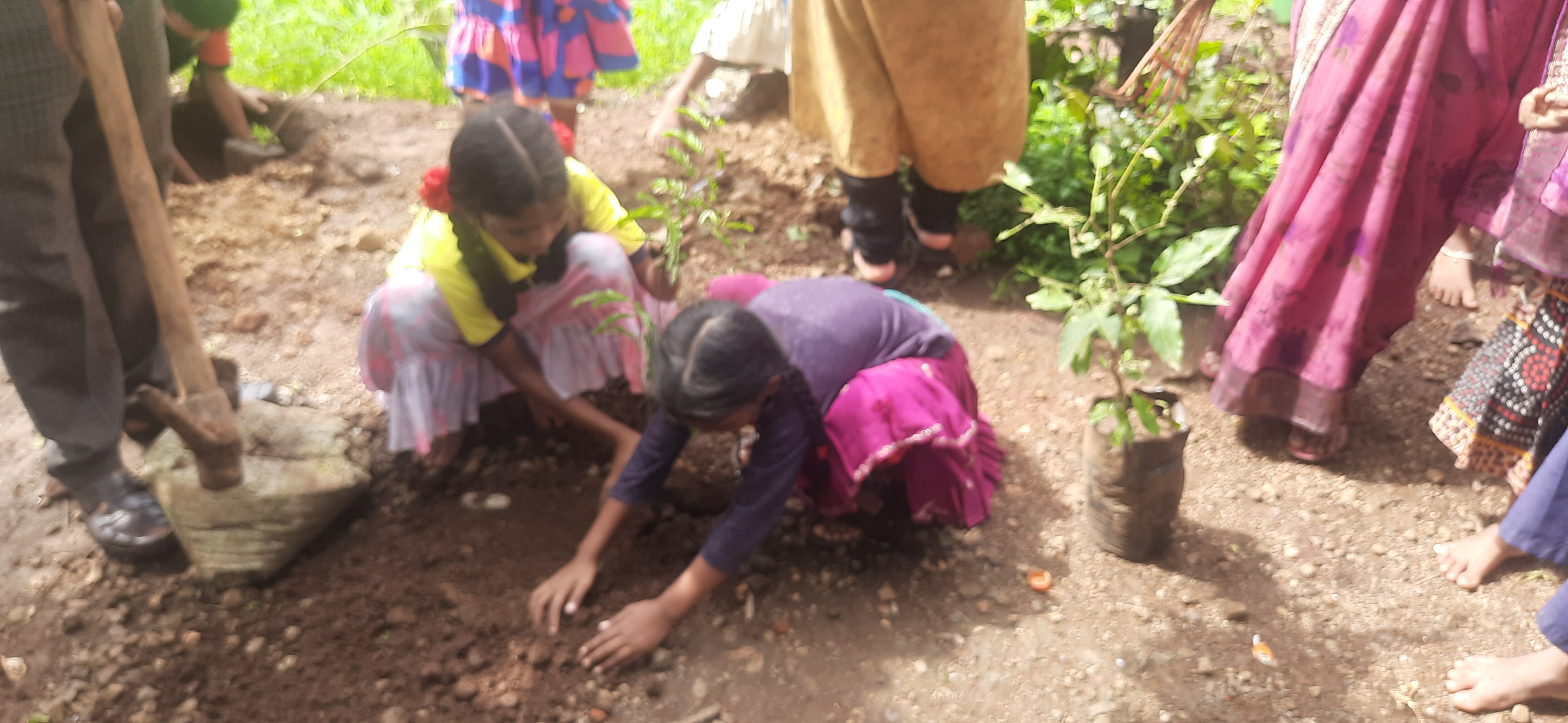 Plantation Drive, Part – 12