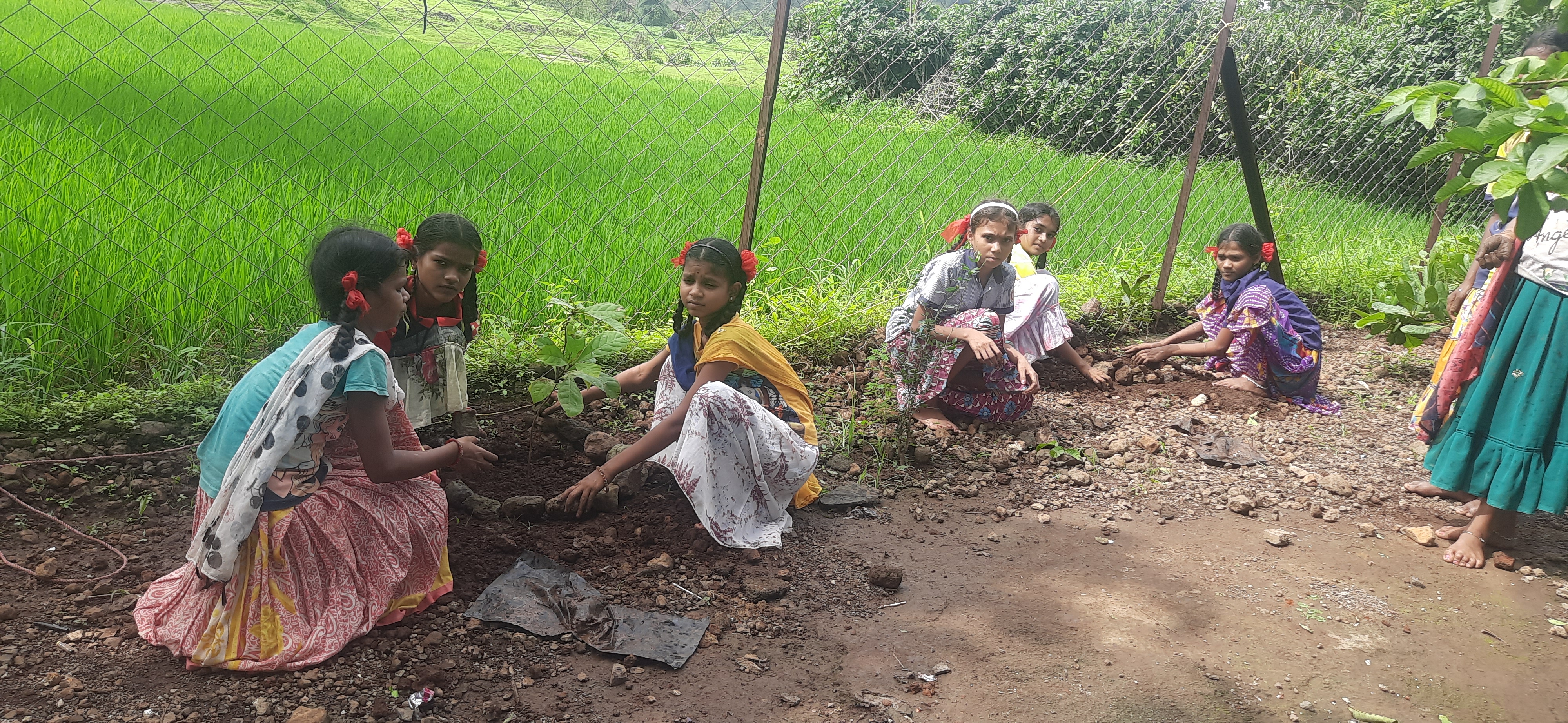 Plantation Drive, Part – 12