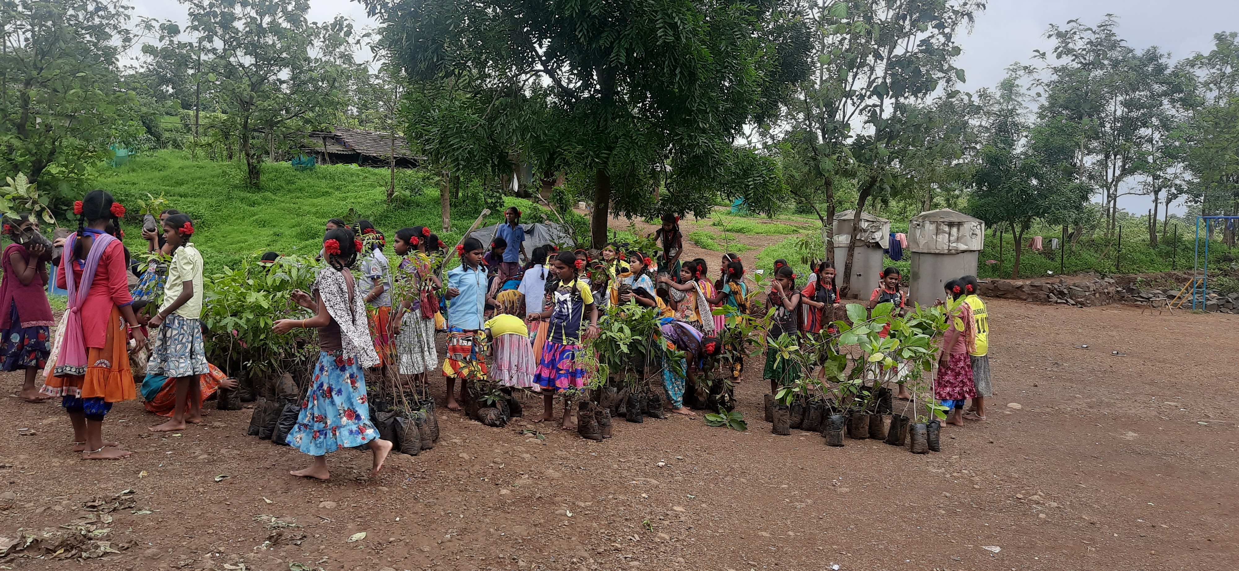 Plantation Drive, Part – 12