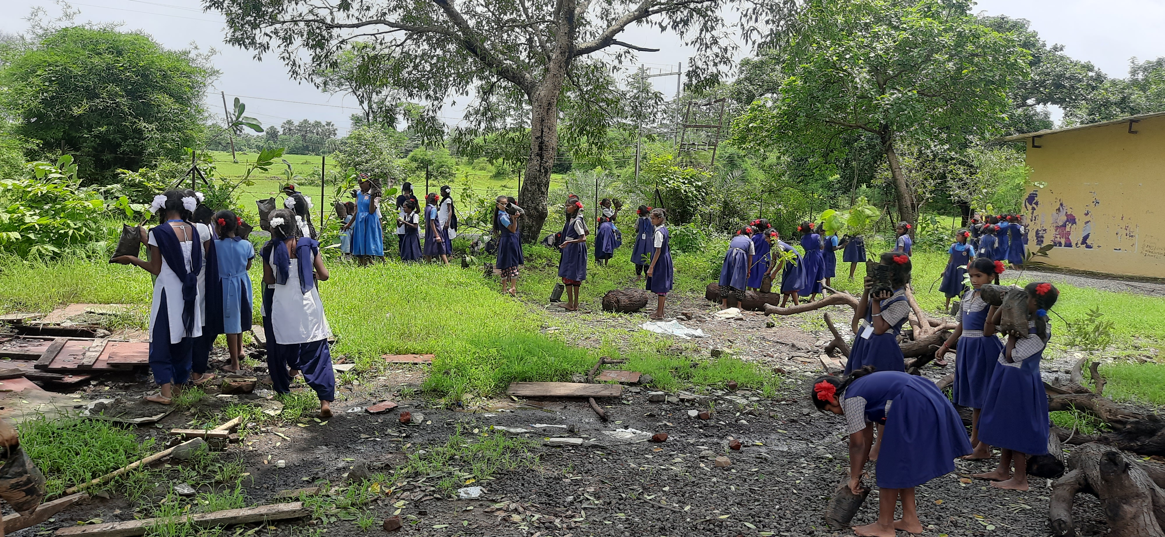 Plantation Drive, Part – 11