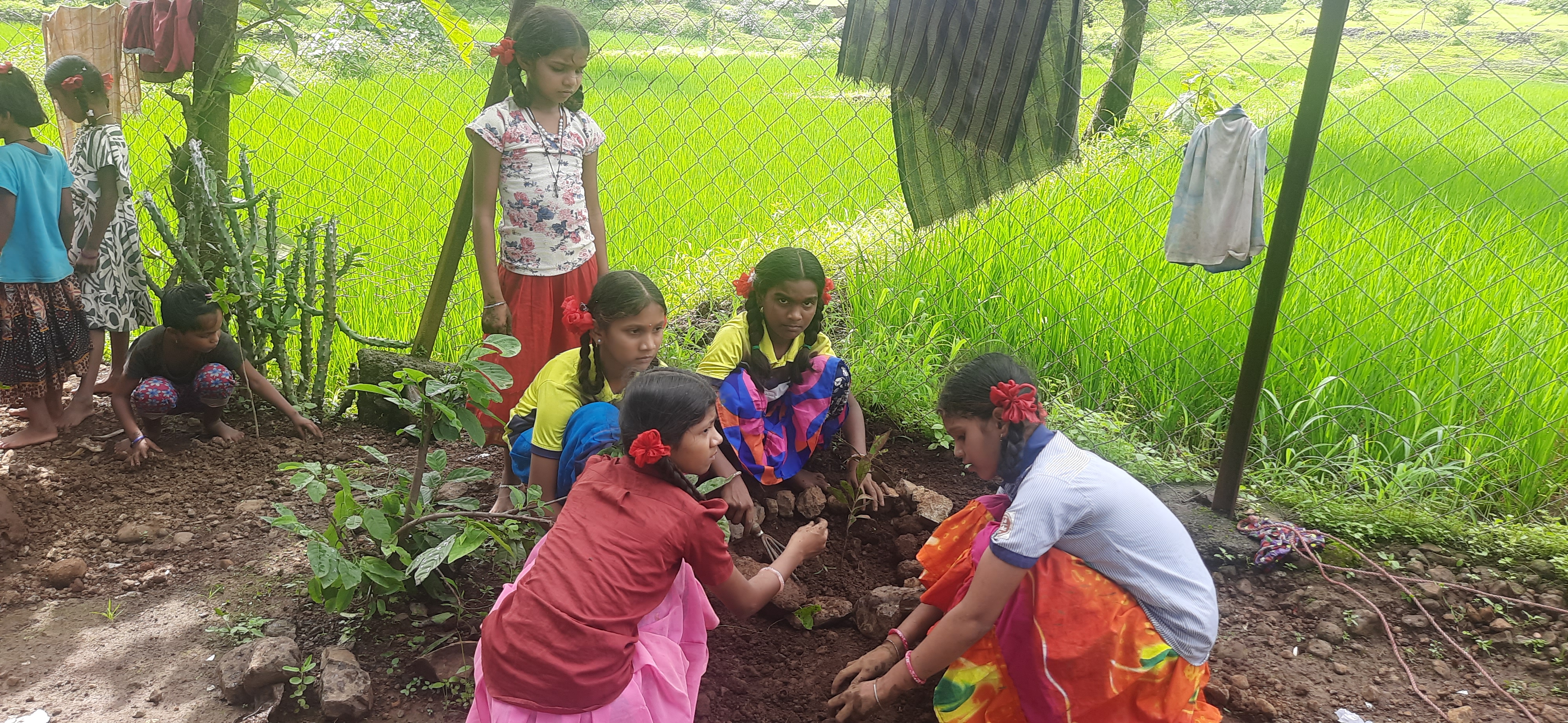 Plantation Drive, Part – 12